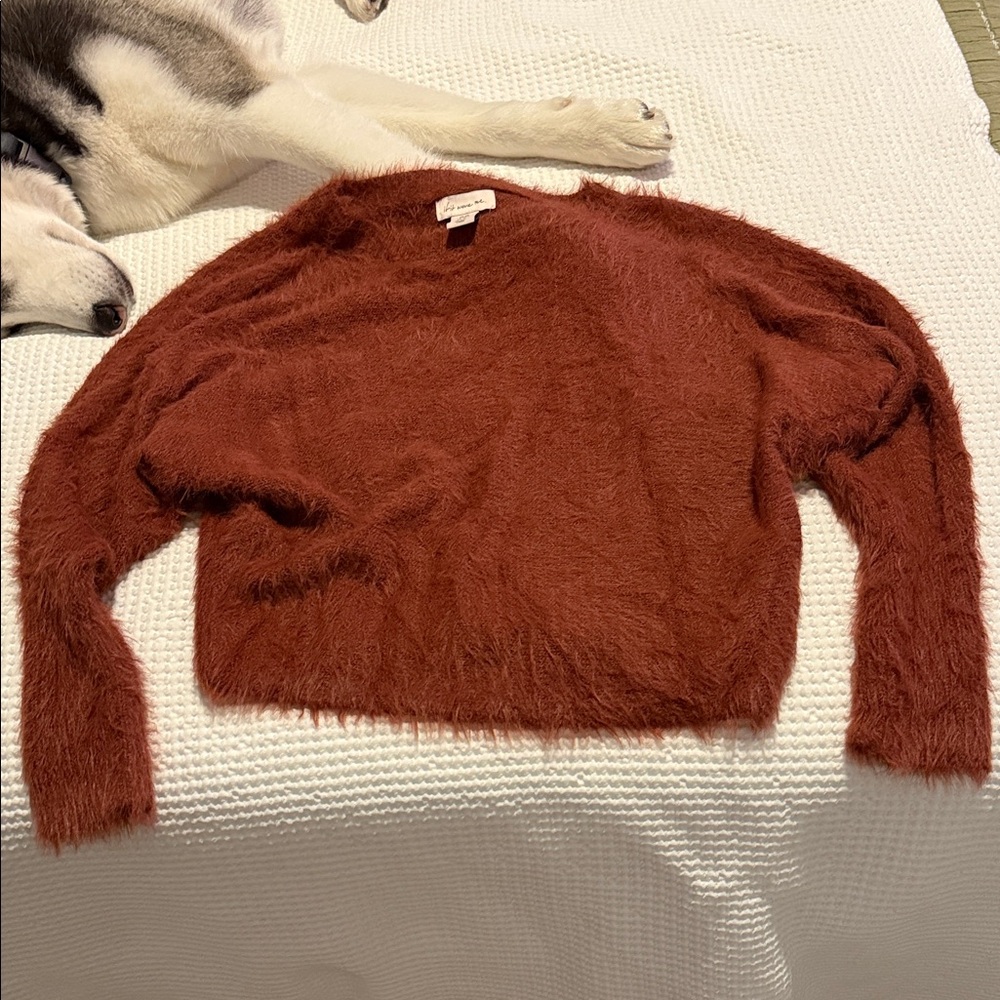 if it were me Fuzzy Rust Sweater